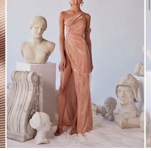 Never worn new with tags!  Alamour the Label Beatrice Dress-